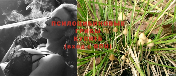 тгк Алексеевка
