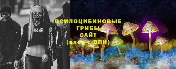 не бодяженный Алексин