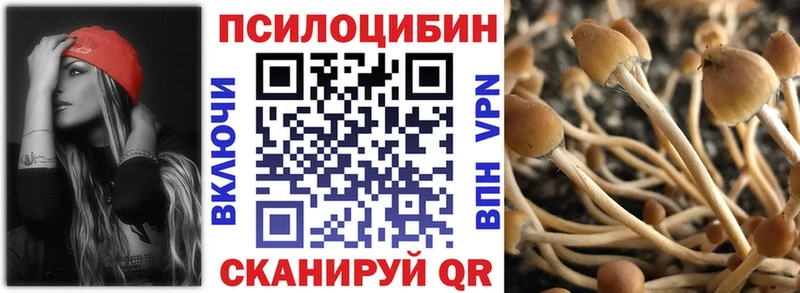 Галлюциногенные грибы мицелий  Истра 