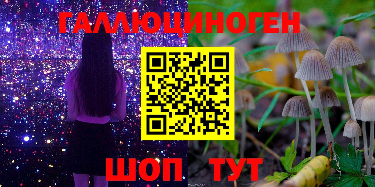 Псилоцибиновые грибы Psilocybe  закладки  Истра  Вход с VPN 